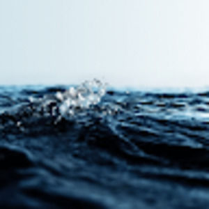 Meet your Posher, Derek